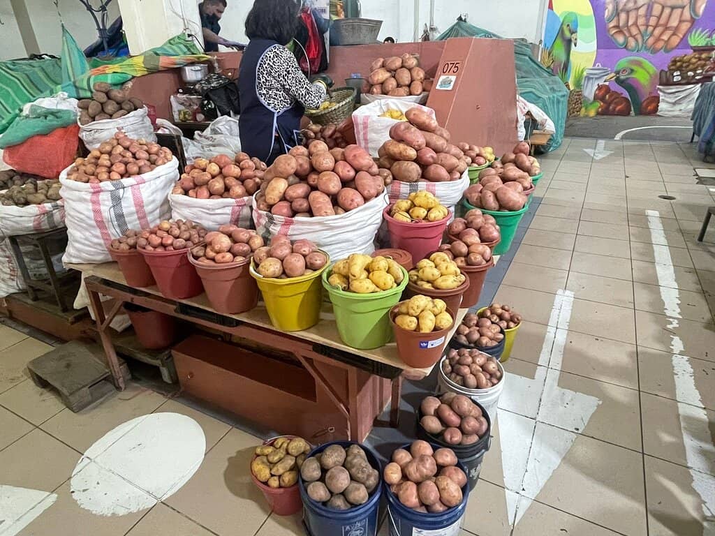Traditional 'Limpia'