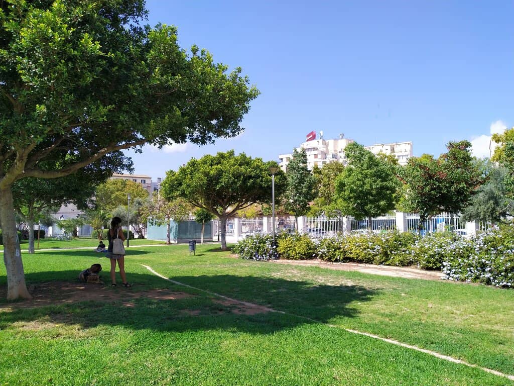 Shaded Relaxation Zones