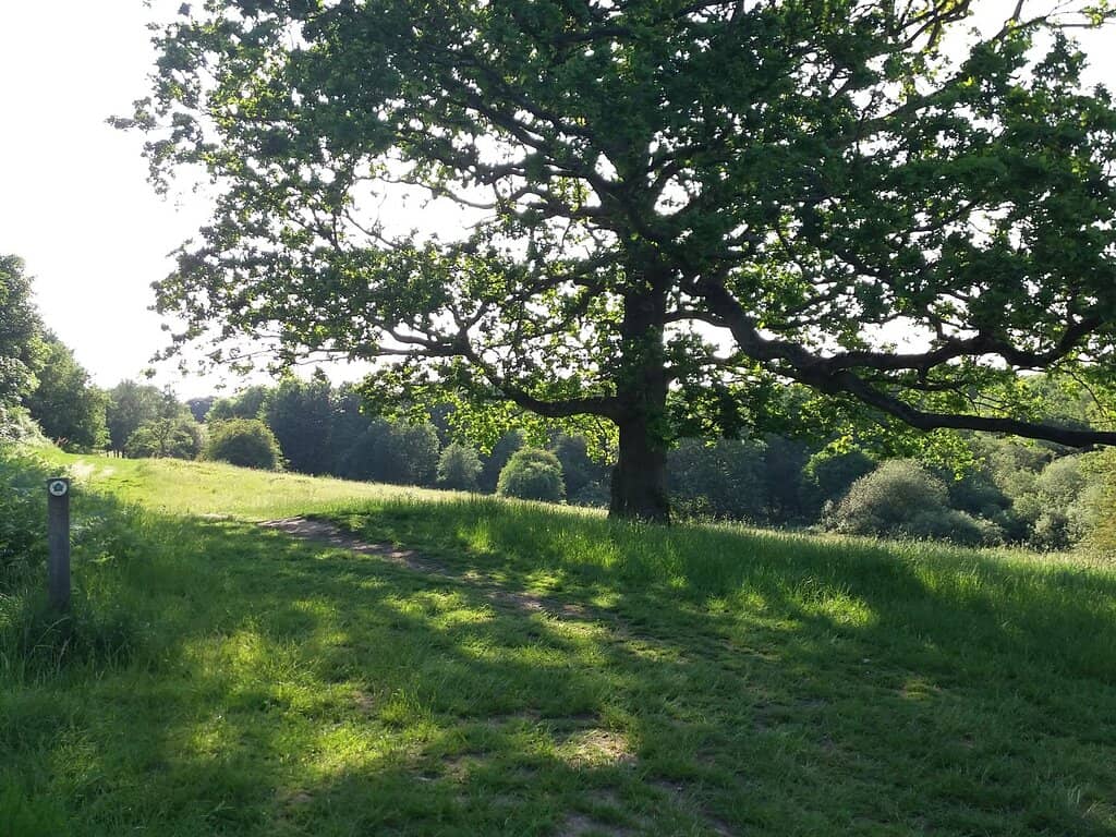 Children's Play Area