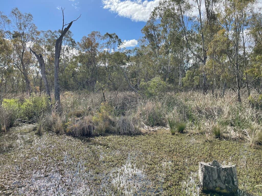 Birdwatching Paradise