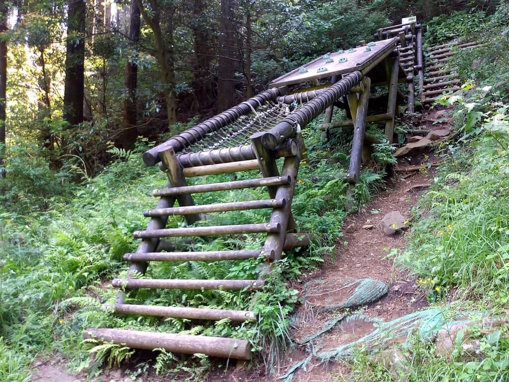 Mount Fuji & Sagami Bay Vistas
