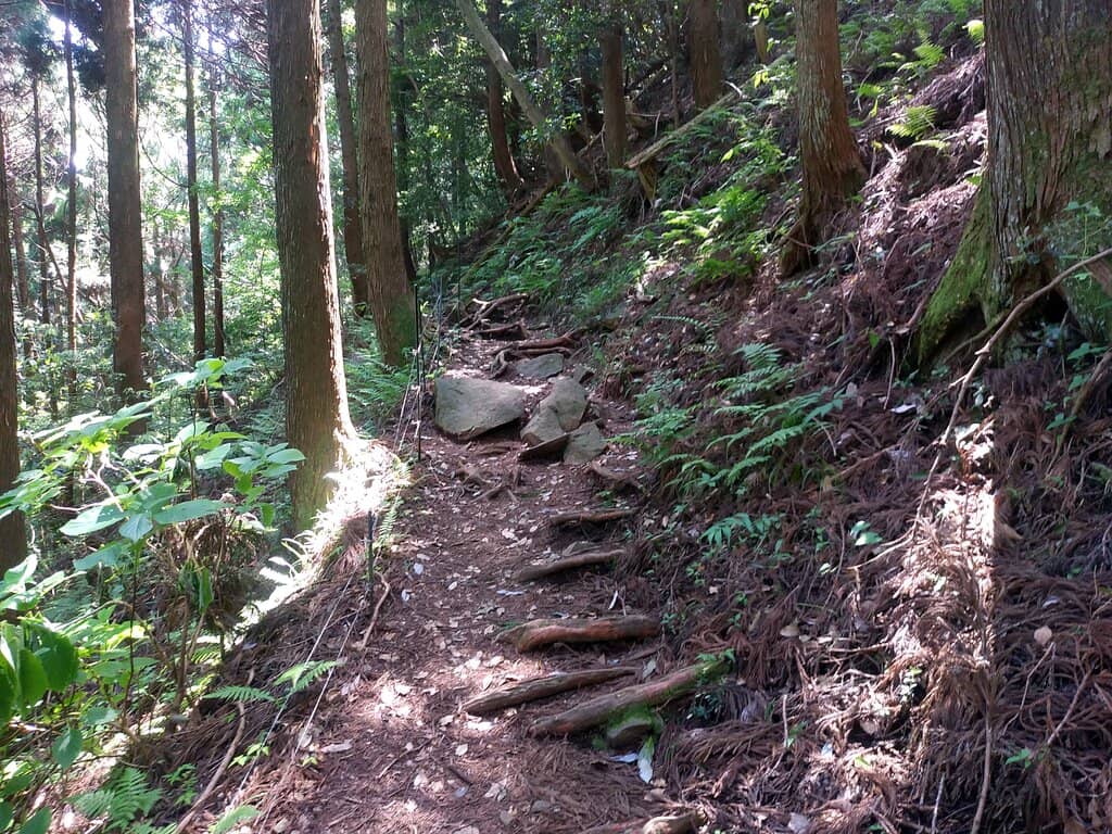 Koinobori Carp Streamers