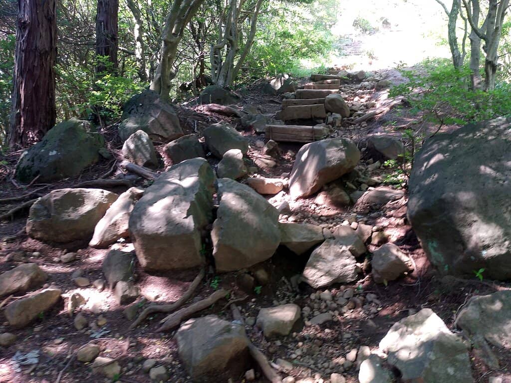 Adventure Obstacle Courses