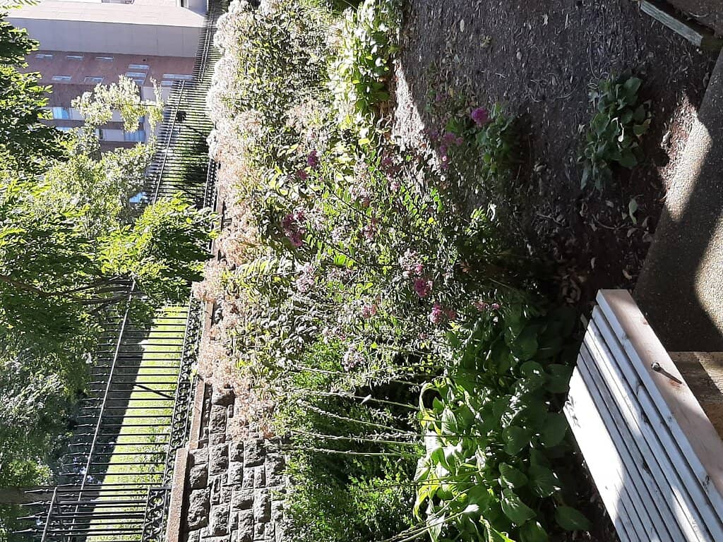 Elegant Staircase Feature