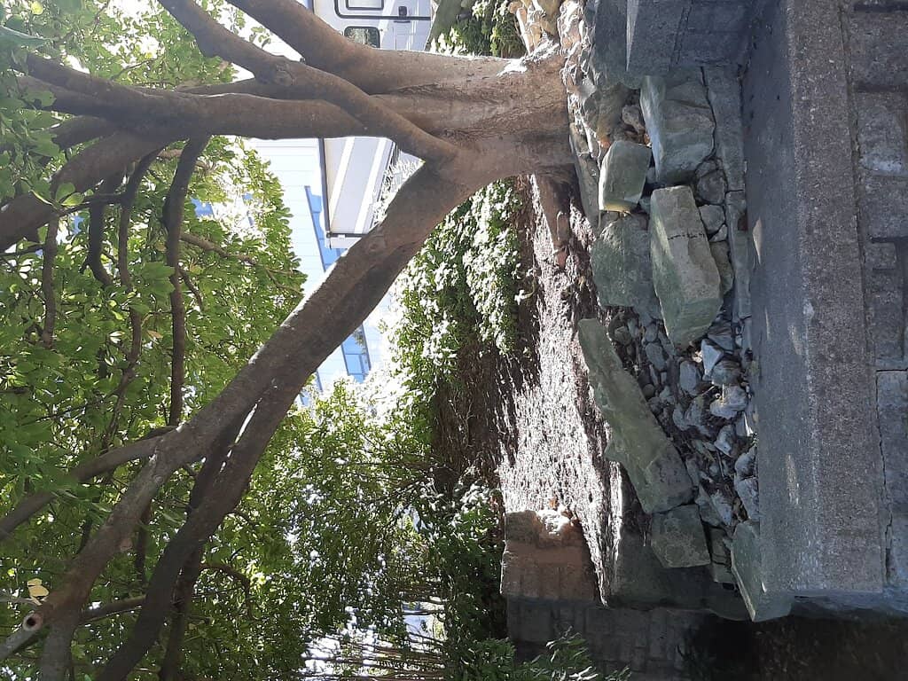 Governor Carnahan's Bust