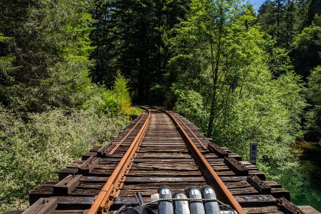 Railbikes on the Noyo River