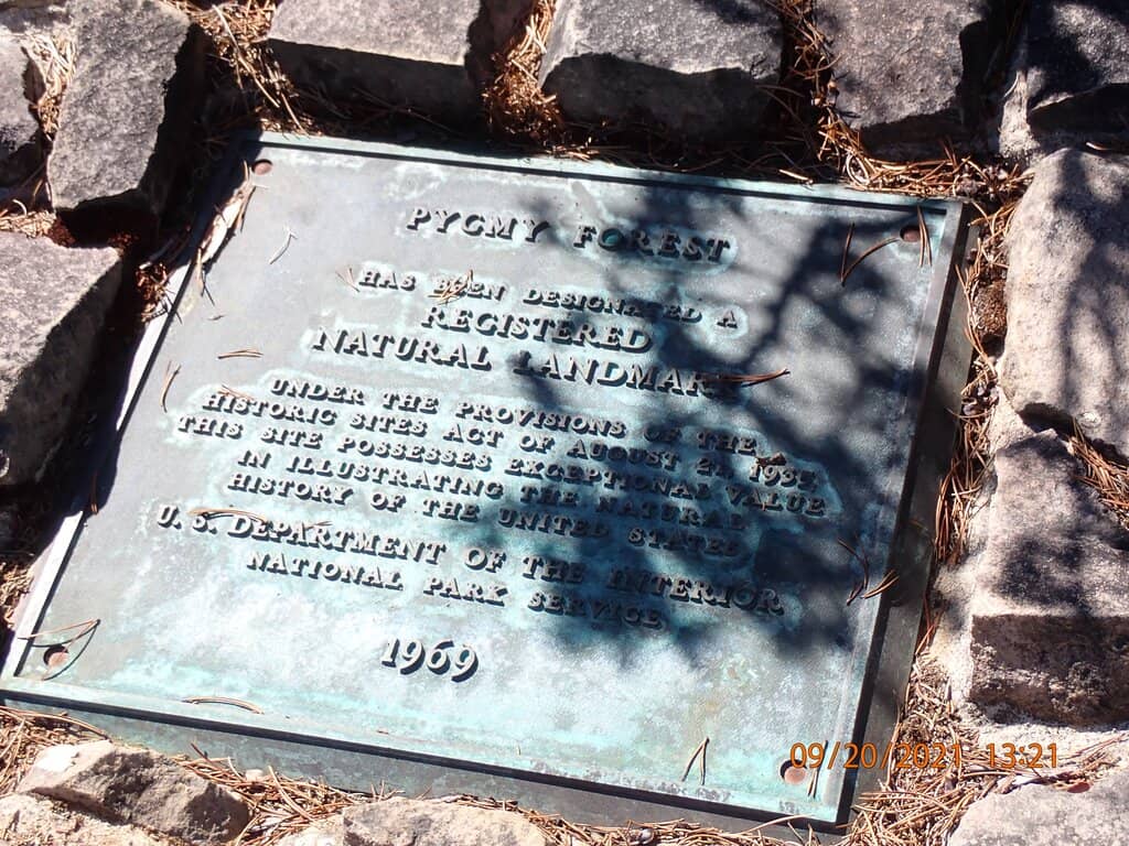 Ecological Staircase Trail