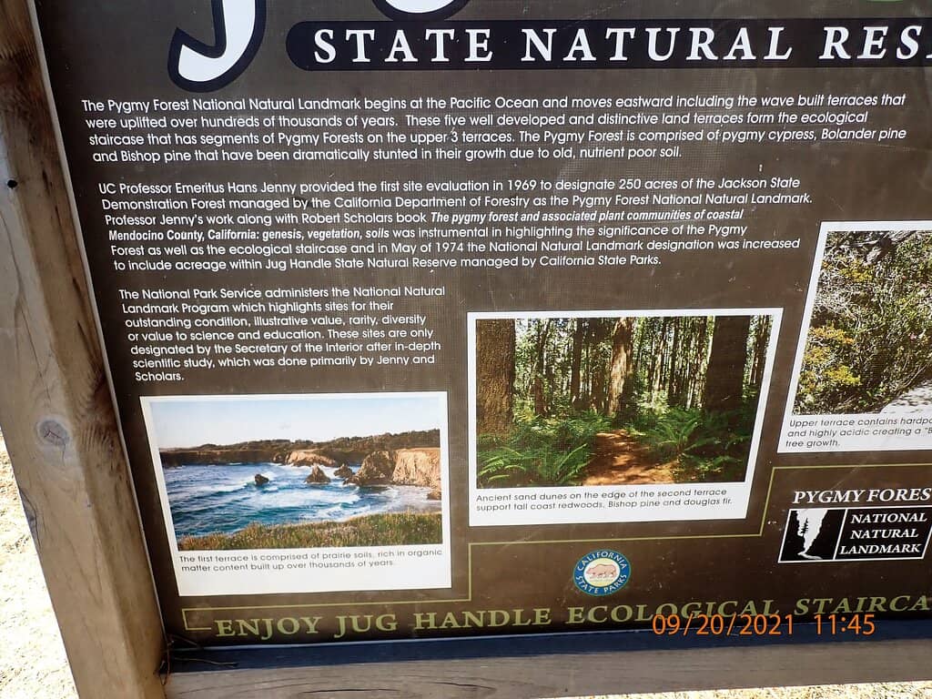 Coastal Bluffs & Beach