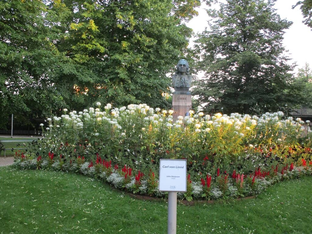 Modern Children's Playground