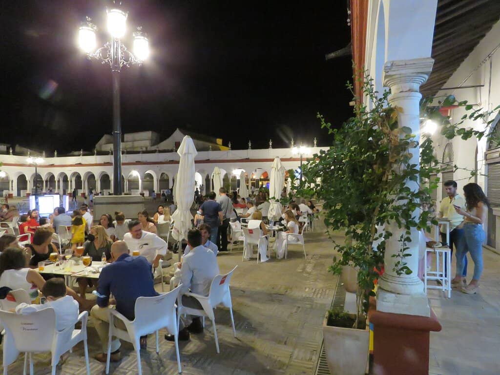 Magical Nighttime Ambiance