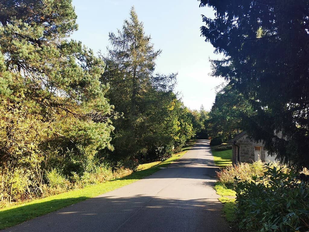 Whirlow Brook