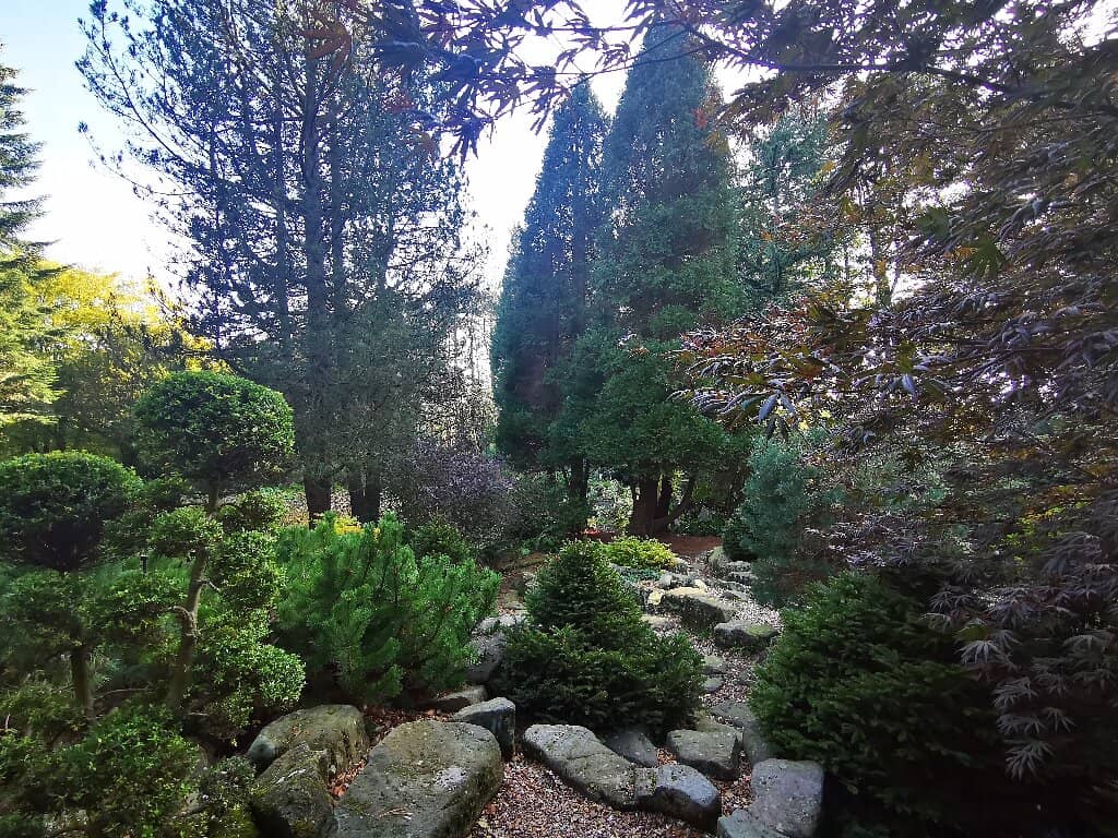 Woodland Walks