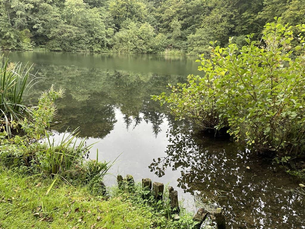 Wedding Photo Opportunities