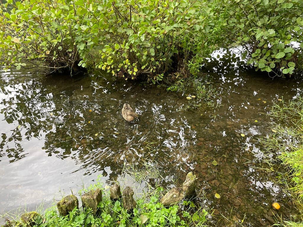 Historic Building Charm