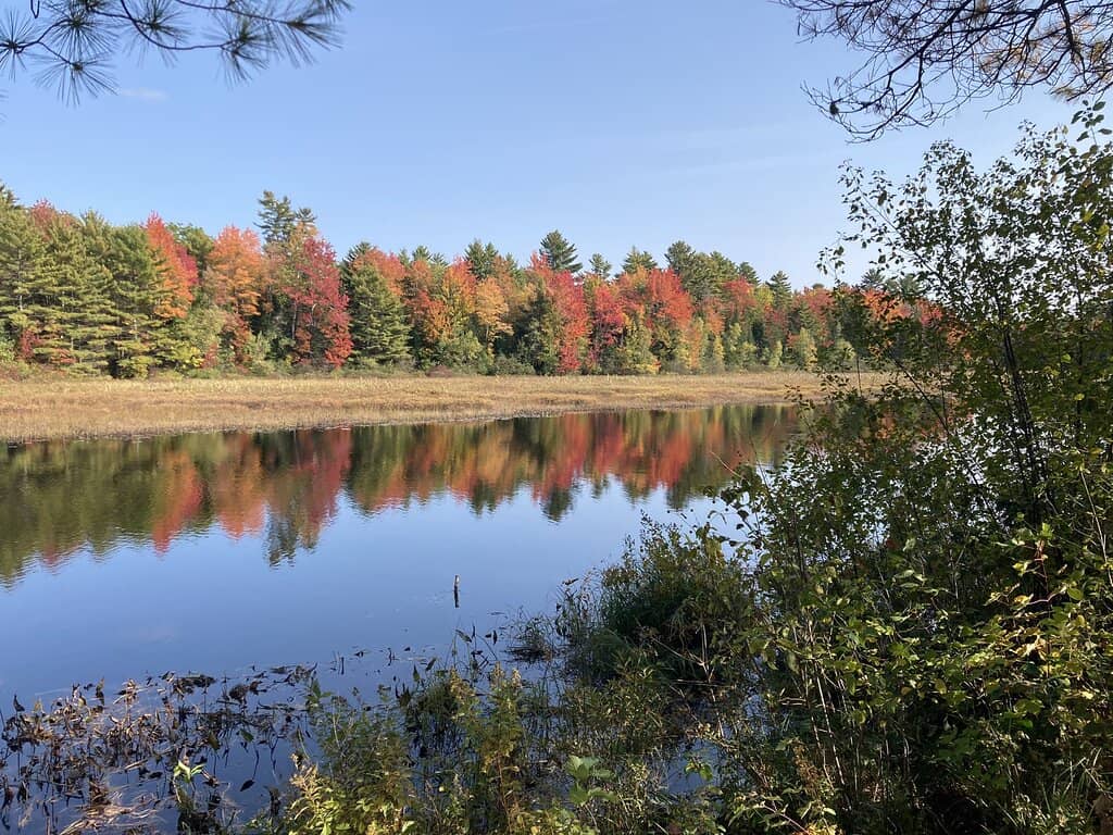 Scenic Walking Trails