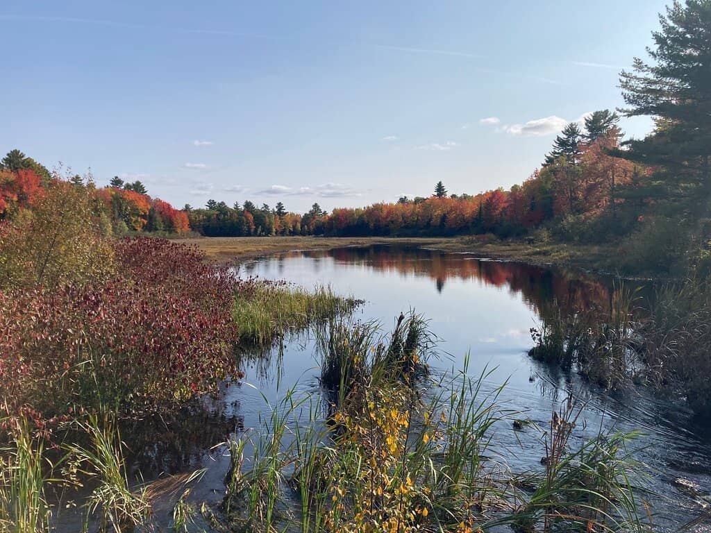 Pioneer Settlement Buildings