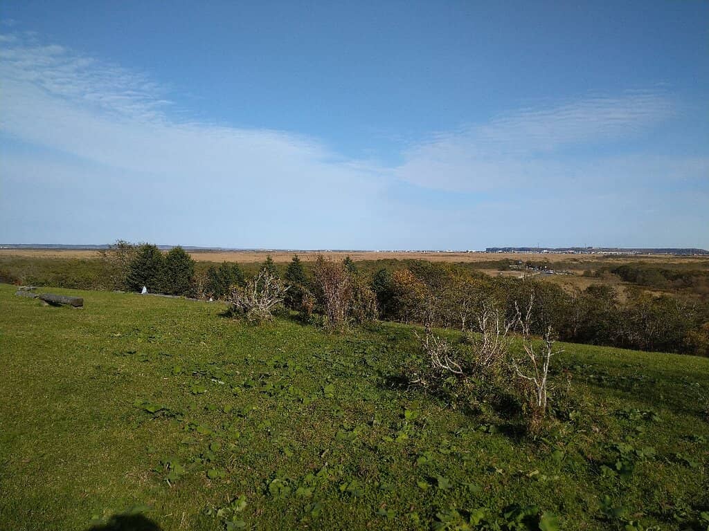 Wetland Center Observation Deck