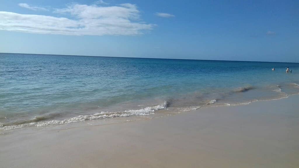 Expansive Golden Sands