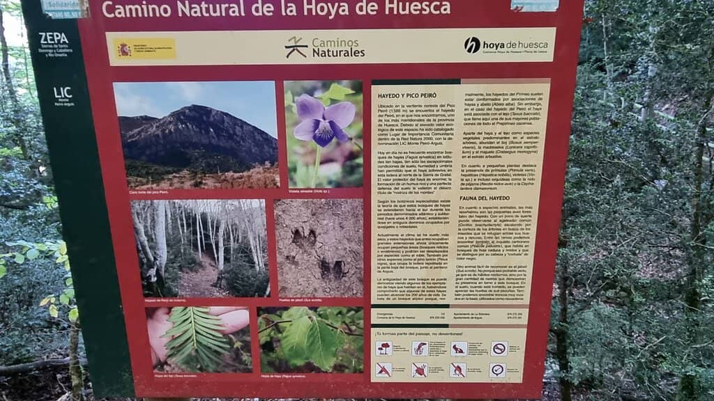 Canyoning Adventures