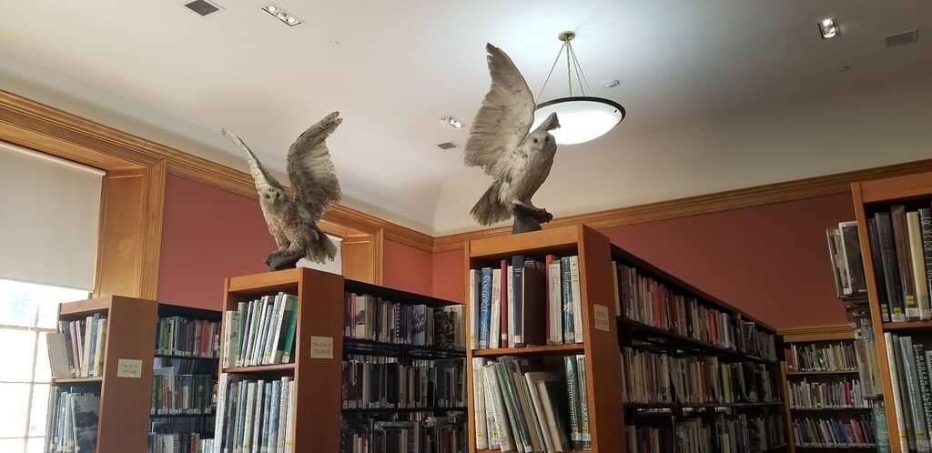 Concord Free Public Library Main (2026) – Best of TikTok, Instagram ...