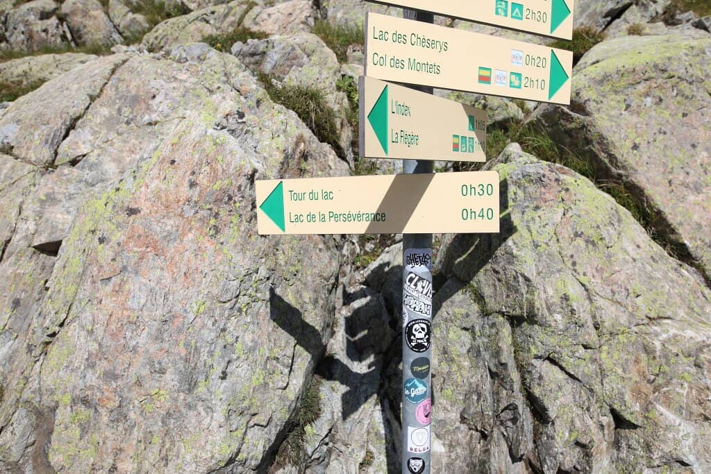 Alpine Ibex Encounters