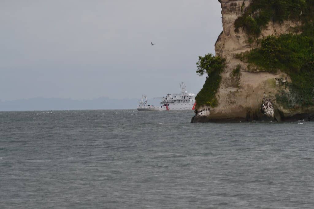 Gastronomic Delights