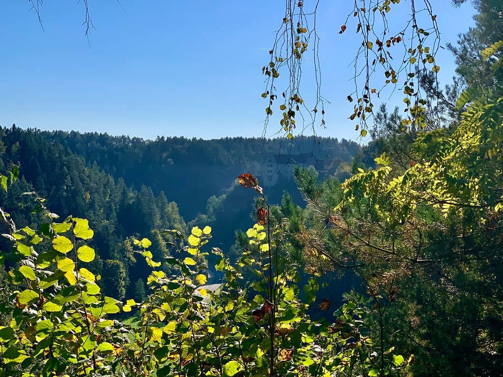 Stalactite and Stalagmite Formations