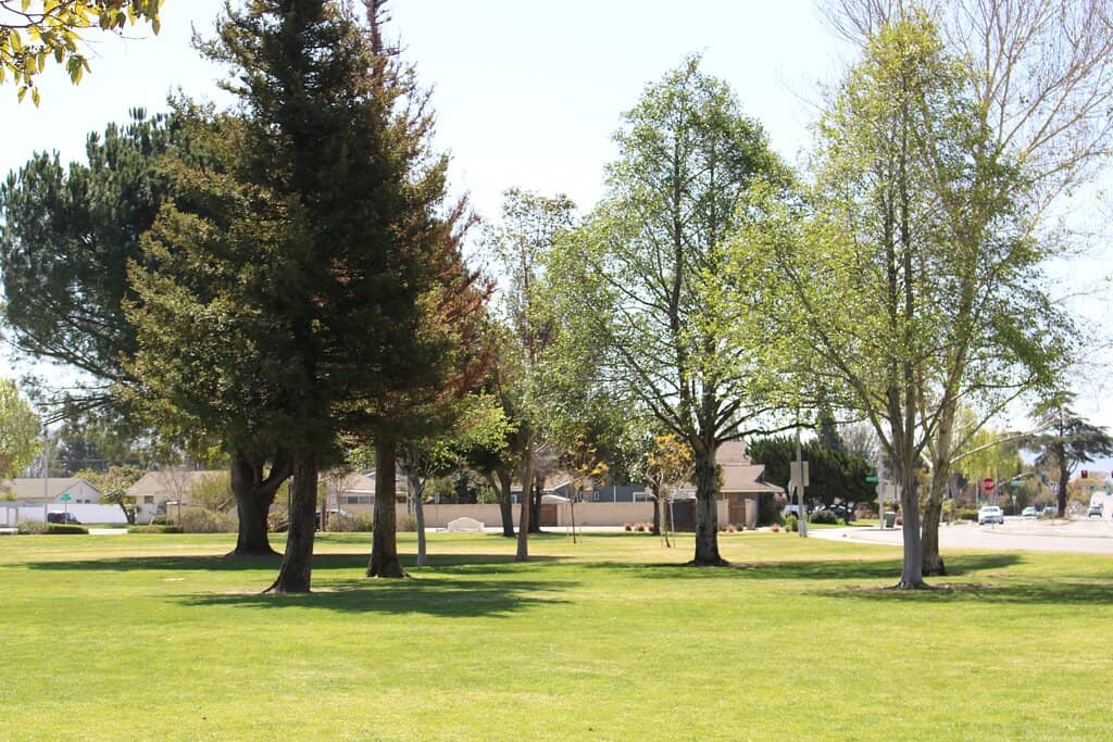 Kid-Friendly Playground