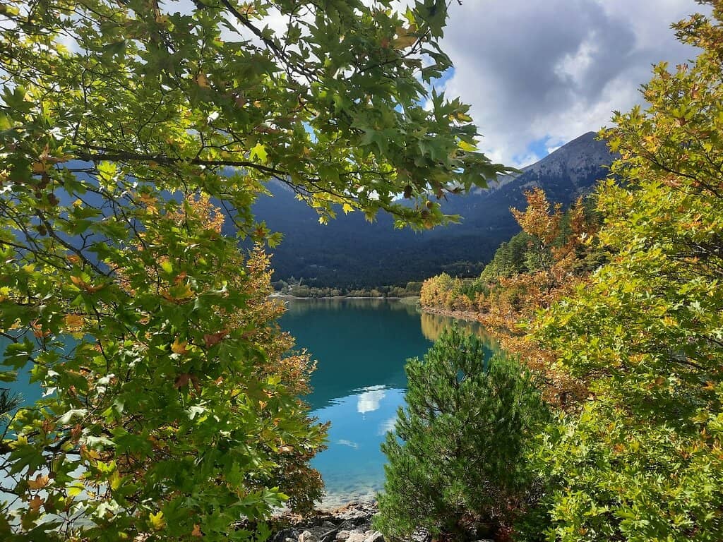 Agios Fanourios Church