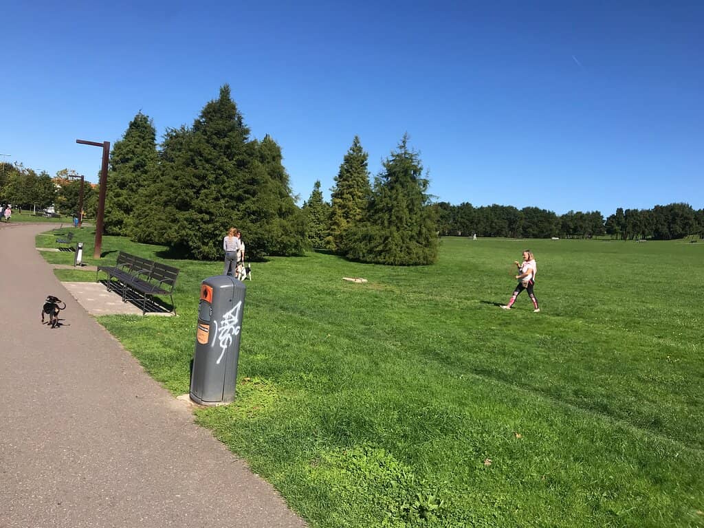 Panoramic City Views