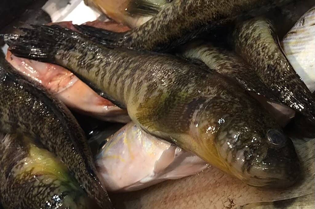 Fresh Seafood Delights