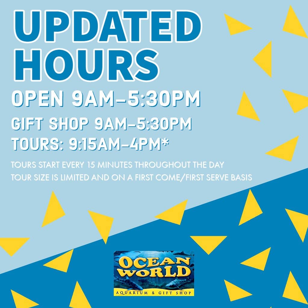 Tide Pool Touch Tank