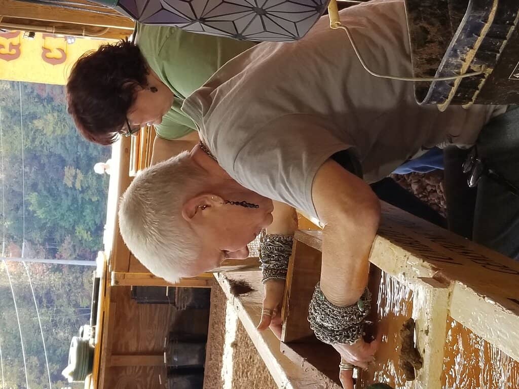 Gold Panning Experience