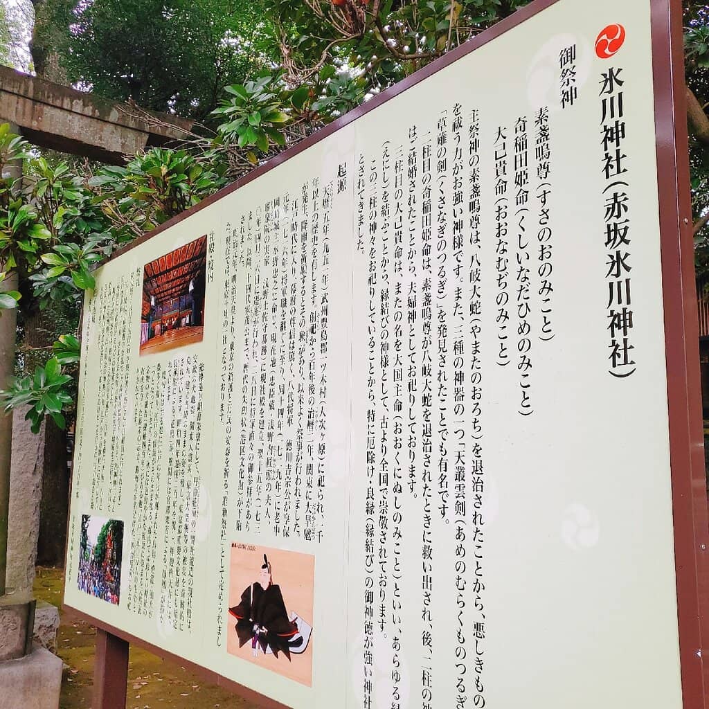 Cherry Blossom Omikuji