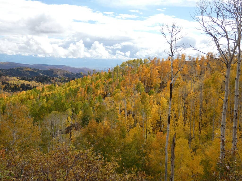 Utah Valley Overlook