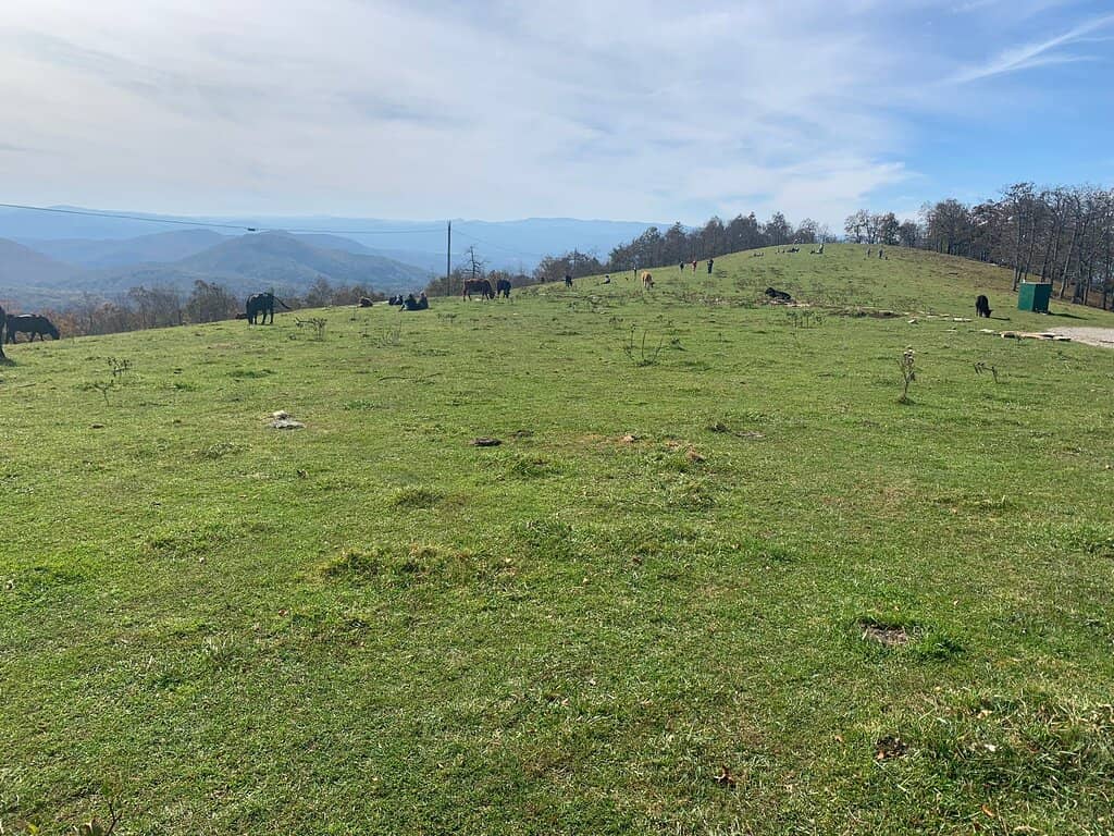 Bearwallow Mountain Road