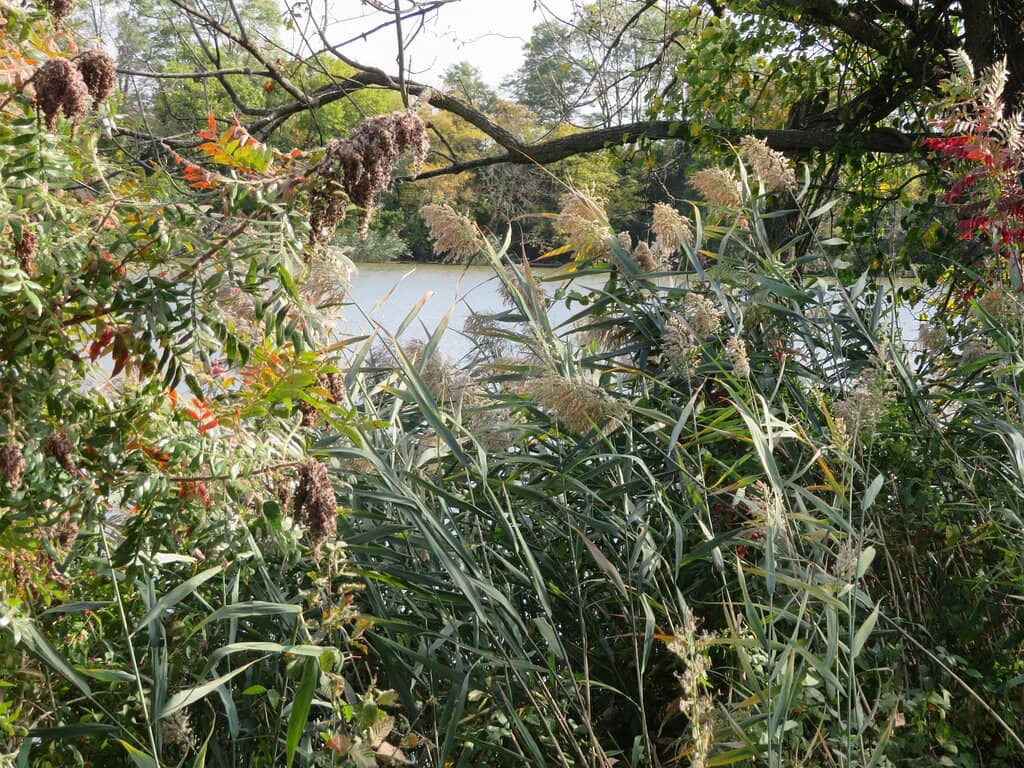 Visitor Center Views