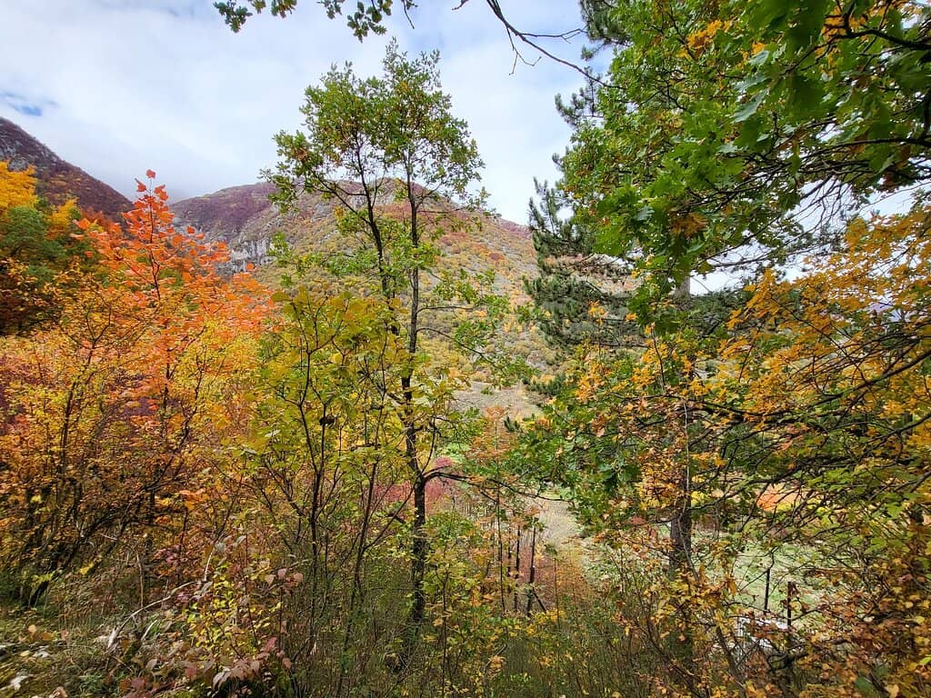 The Tiny Church Viewpoint