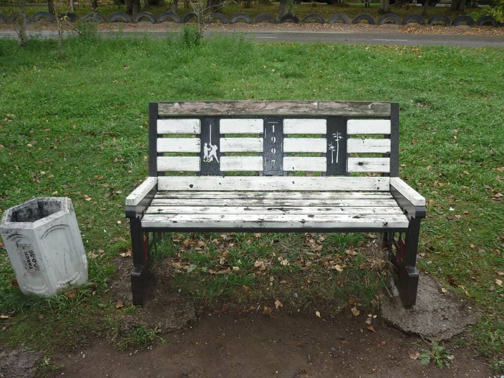 Live Music & Performances