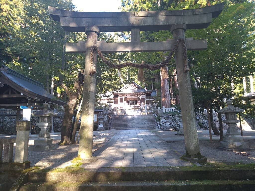 Peaceful Forest Setting