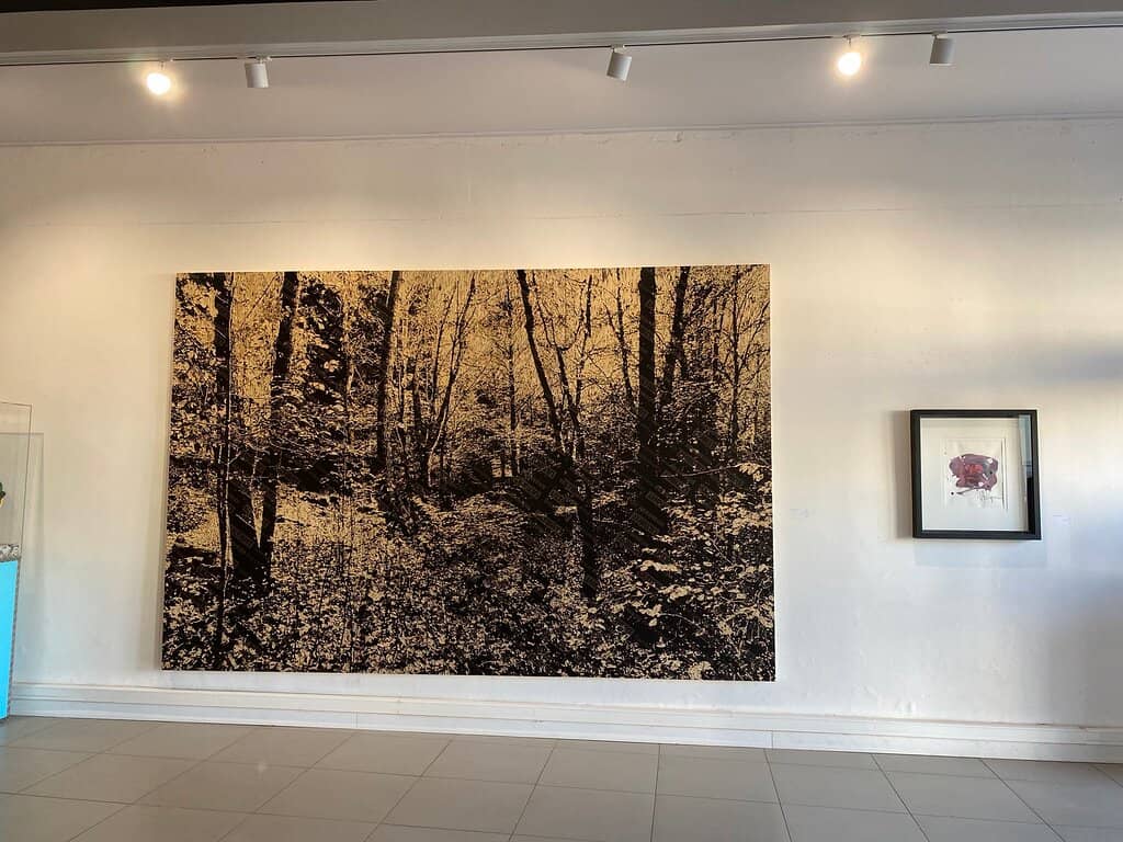 Winter Skating Potential