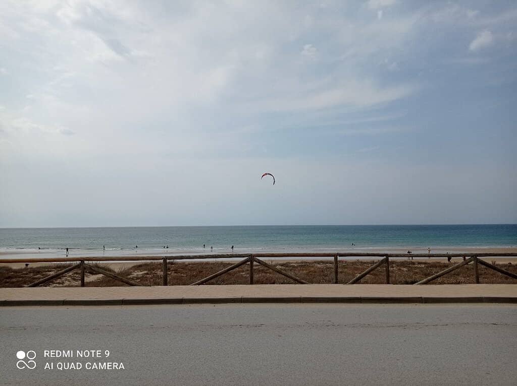 Vibrant Beachfront Bars
