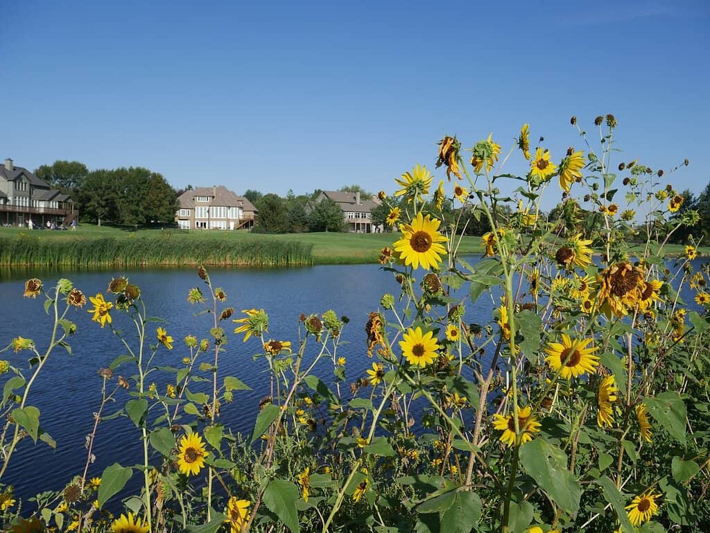Clubhouse Restaurant & Patio