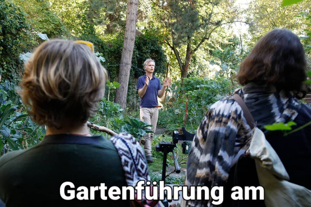 Charming Ambiance with Garden Views