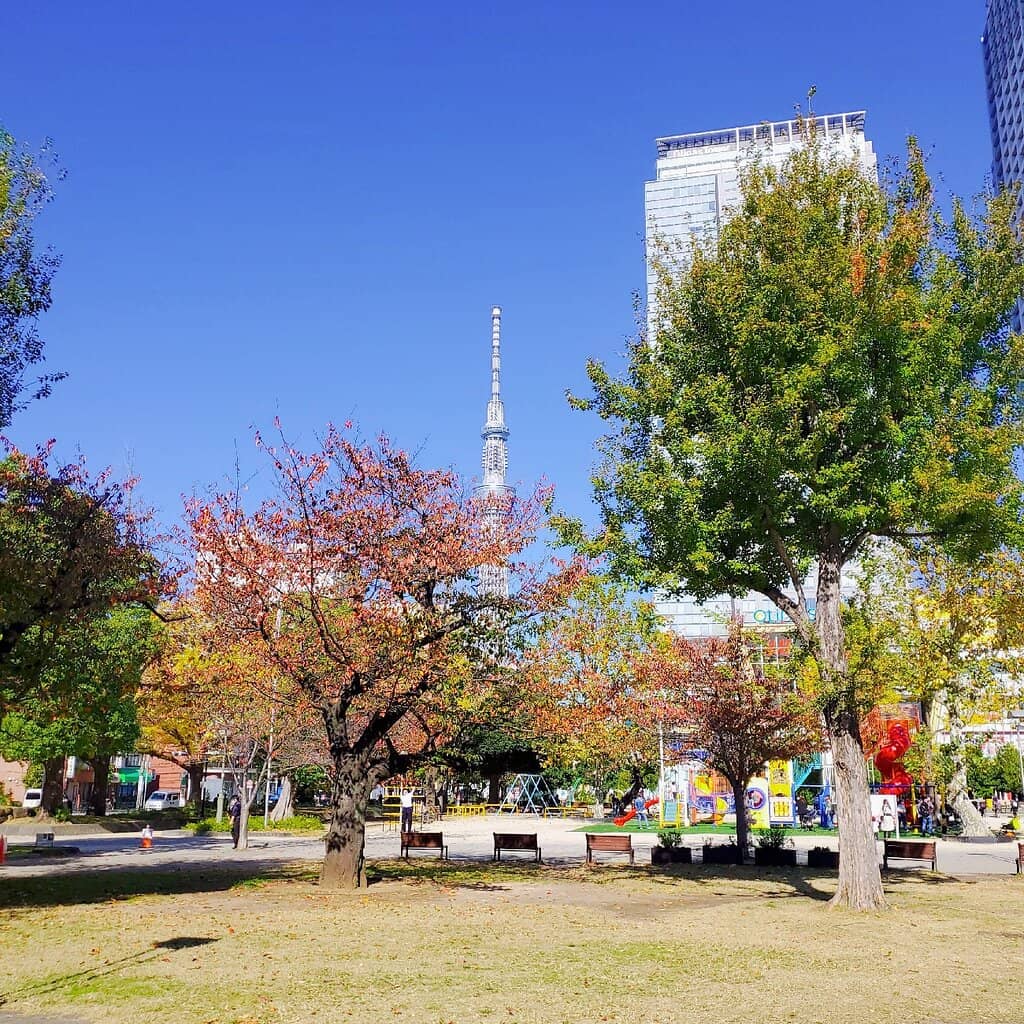 Sumida-ku Local Charm