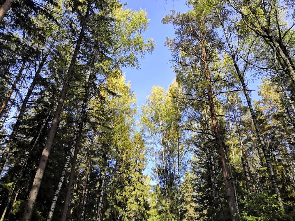 Illuminated Pathways