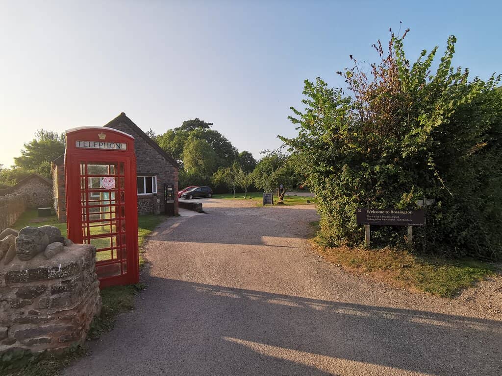 Encountering Exmoor Ponies