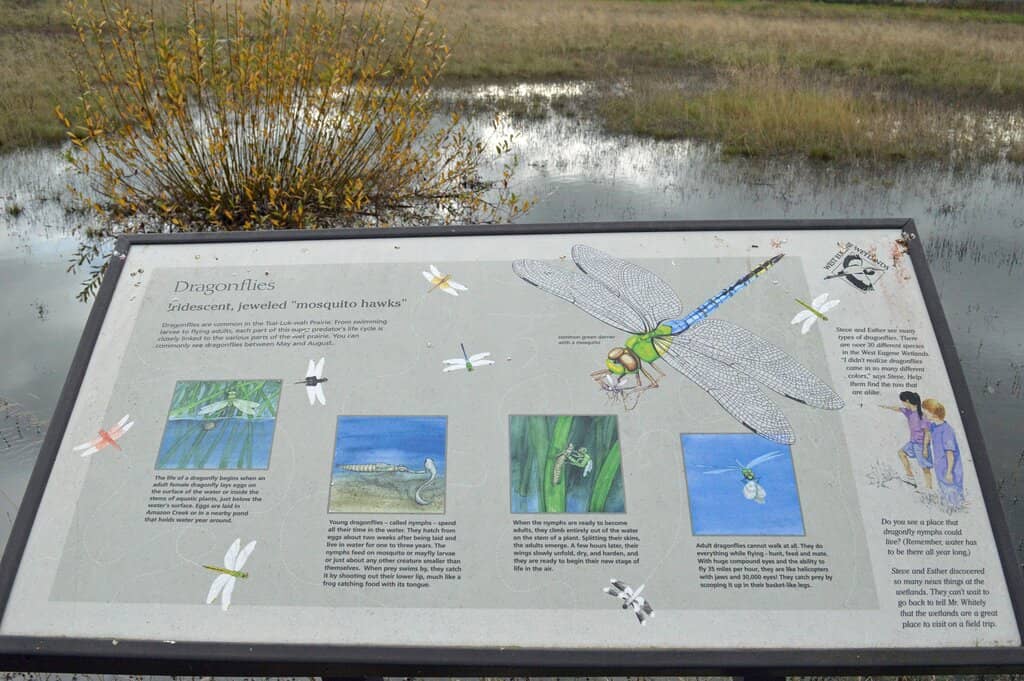 Stewart Ponds Disc Golf Course