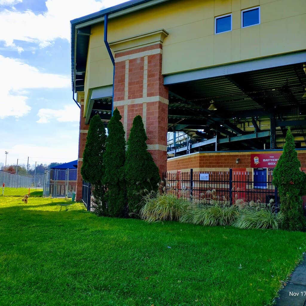 Wild Things Baseball