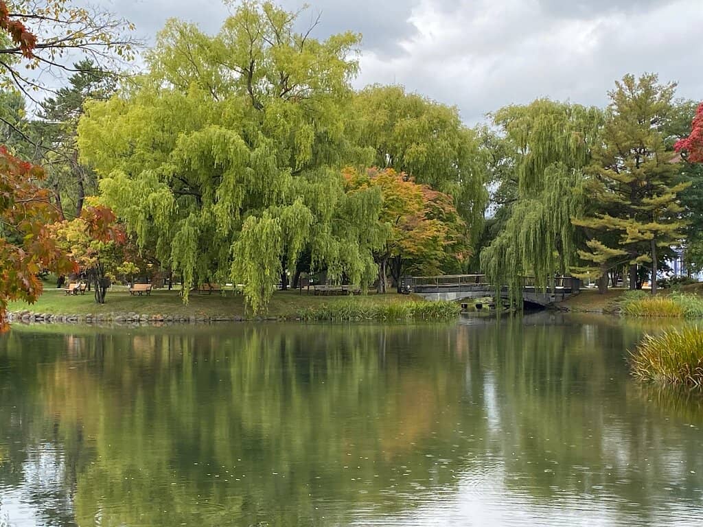 Hokkaido Museum of Literature